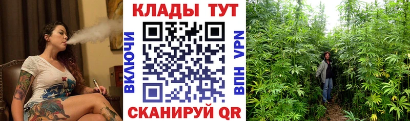 Купить закладку Бошки Шишки  КОКАИН  Гашиш  МЕФ  Анапа