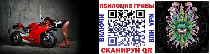 Купить закладки  Анапа  Галлюциногенные грибы MAGIC MUSHROOMS 